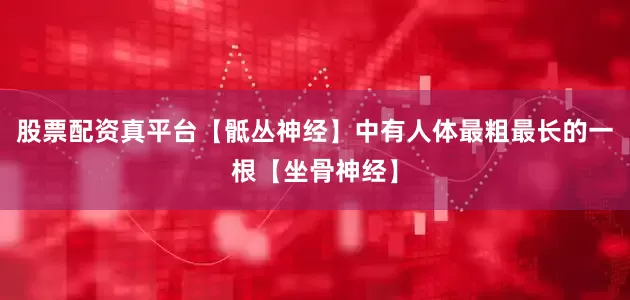 股票配资真平台【骶丛神经】中有人体最粗最长的一根【坐骨神经】